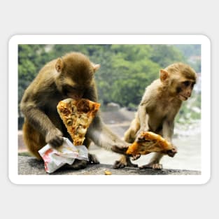 Pizza Lover Monkey Pizza take-away Sticker